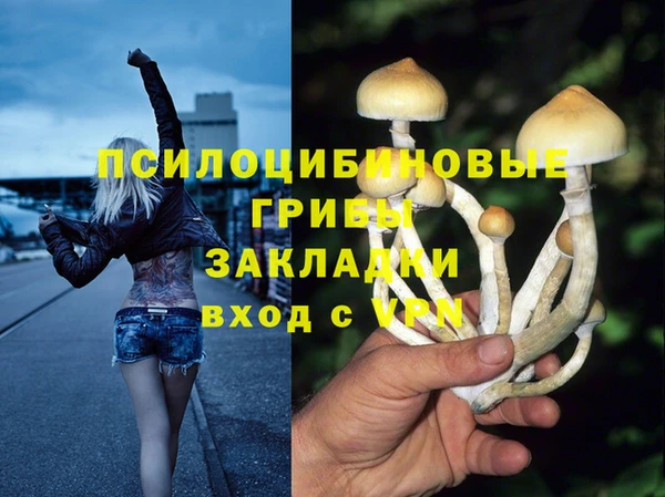 дурь Липки