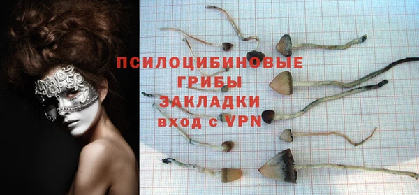 ПСИЛОЦИБИНОВЫЕ ГРИБЫ Абинск