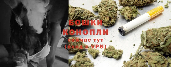 ECSTASY Лиски