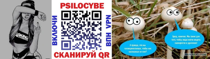 мега ссылки  Оренбург  Псилоцибиновые грибы мицелий 